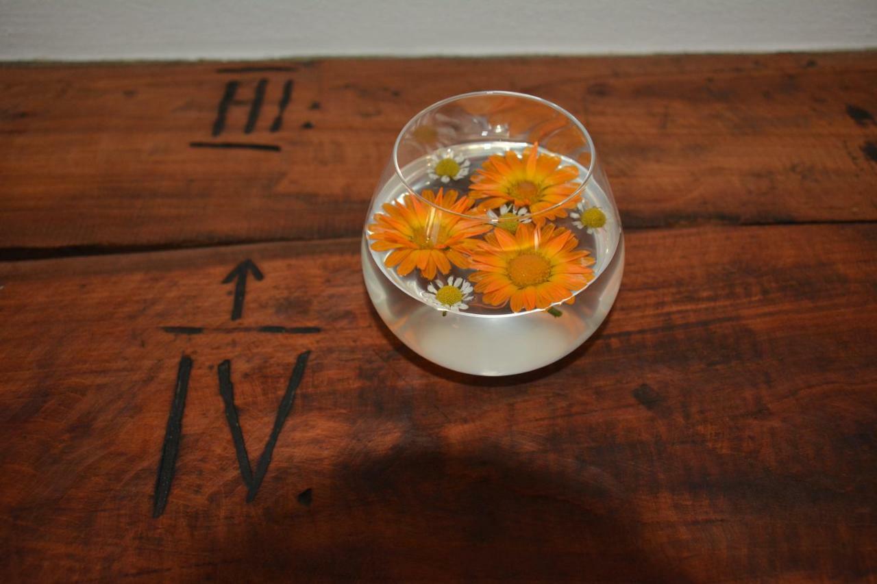 Farmhouse Cvetje 톨민 외부 사진